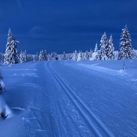 Mountain View Apartment With Sauna Nordseter エクステリア 写真