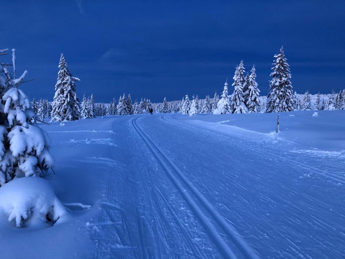 Mountain View Apartment With Sauna Nordseter エクステリア 写真