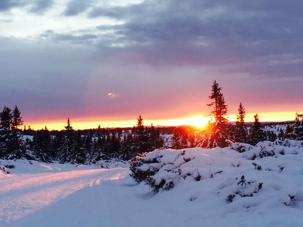 Mountain View Apartment With Sauna Nordseter エクステリア 写真
